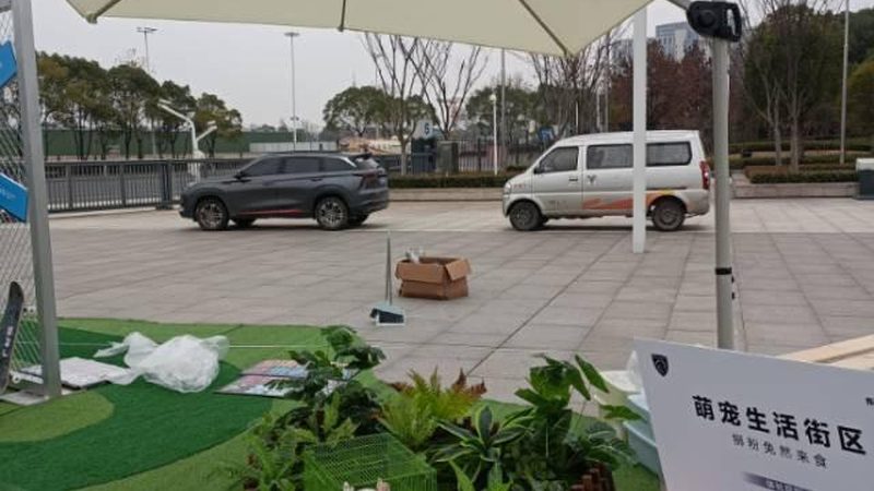 成都展览搭建：揭秘展具租赁的五大关键要素